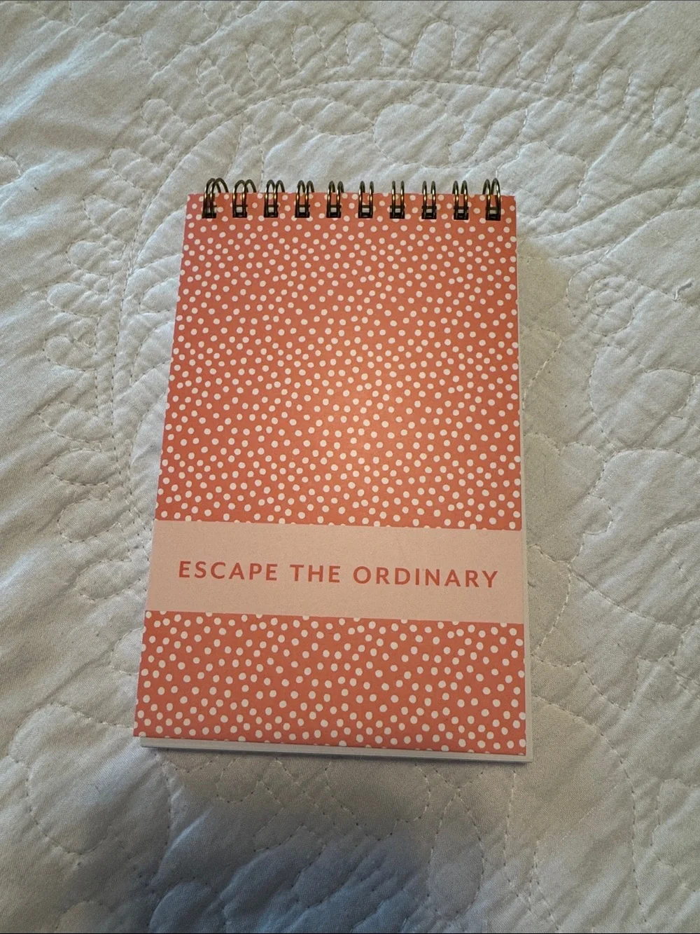 NEW 10 small spiral bound notebooks